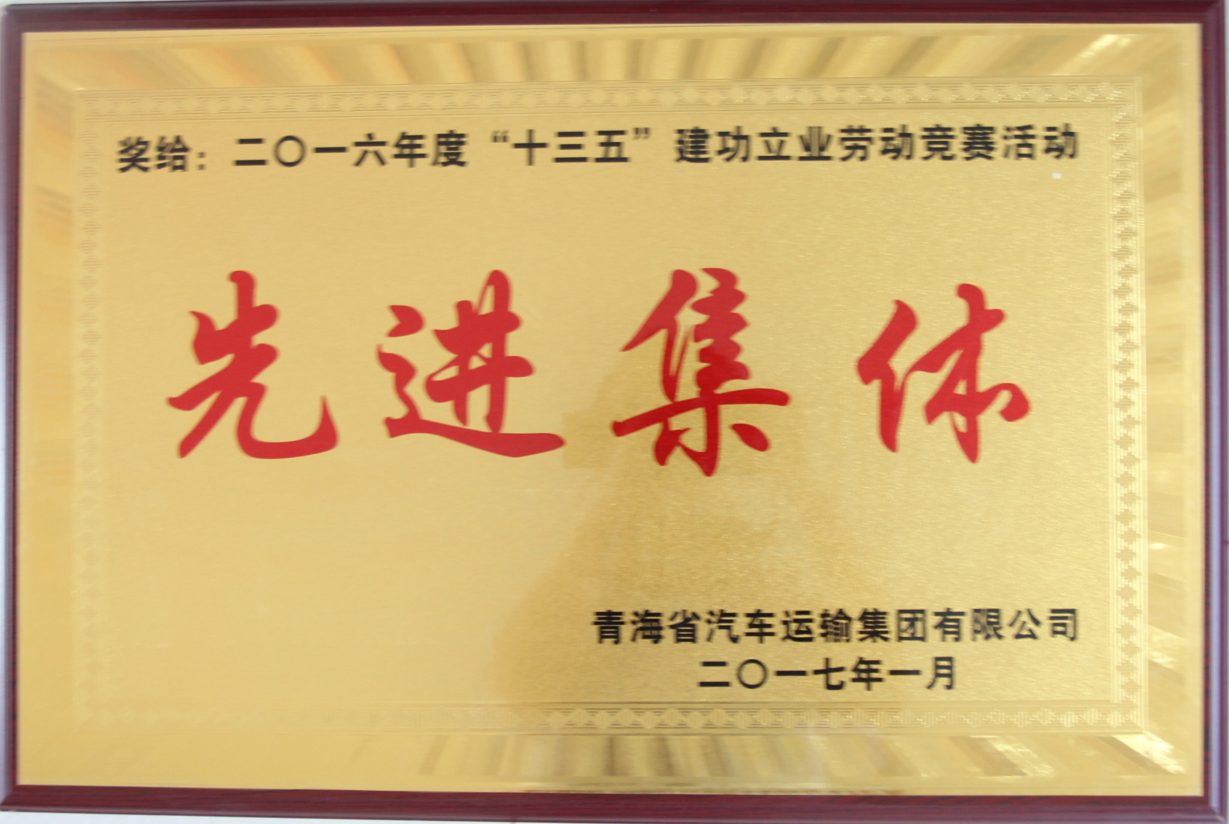 2016年十三五成立立衣吠动较量先进集体