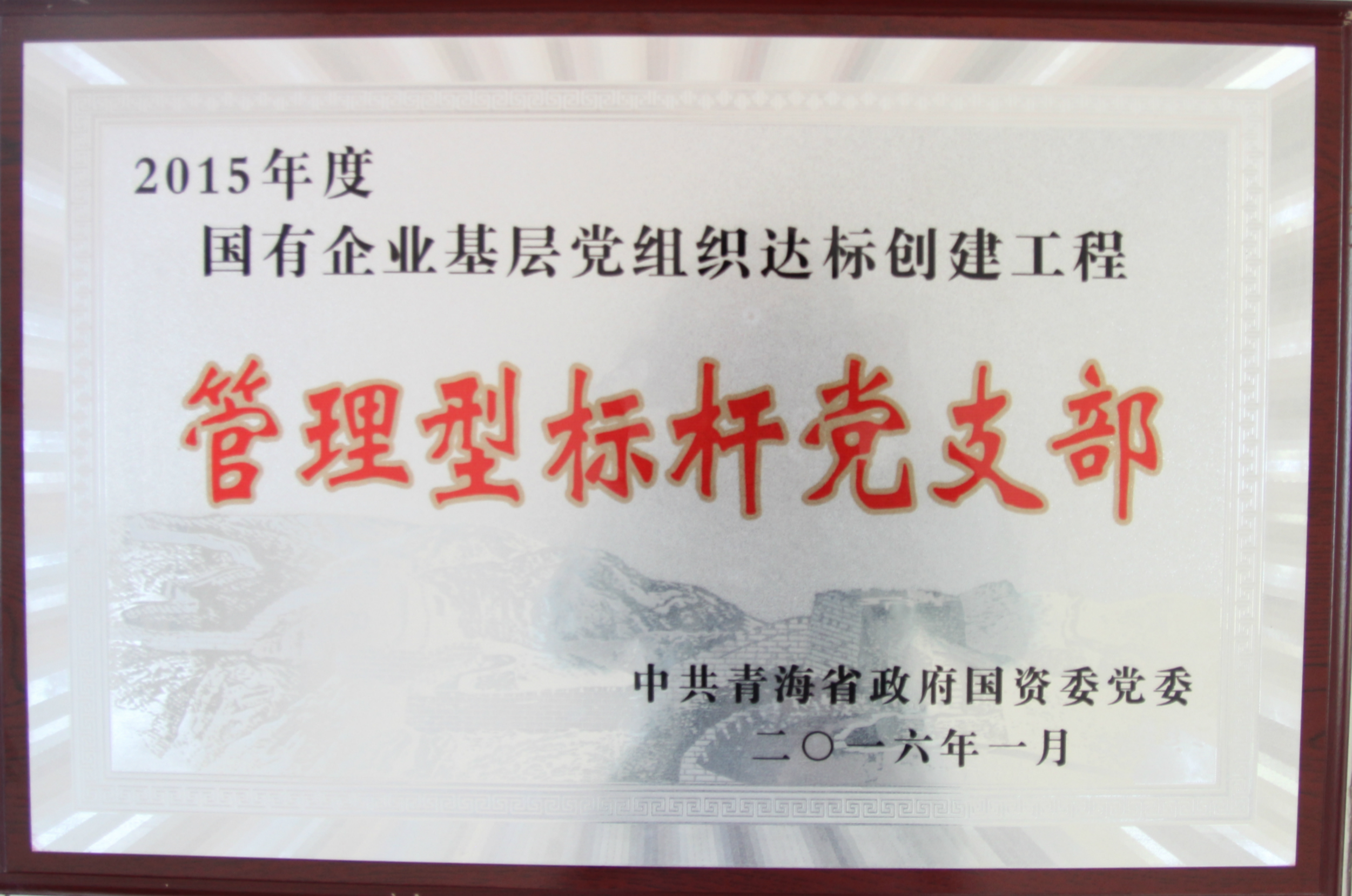 标杆党支部